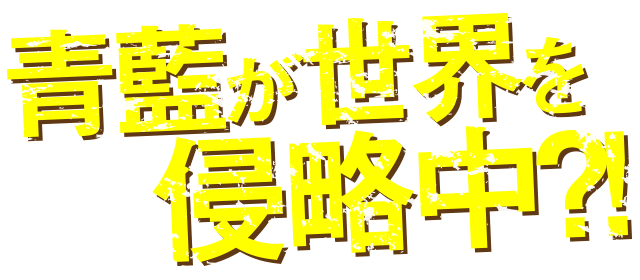 青藍が世界を侵略中?!